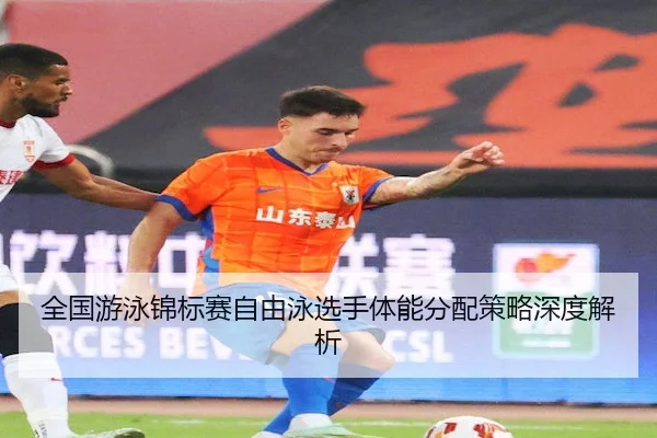 全国游泳锦标赛自由泳选手体能分配策略深度解析